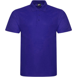textil Herre Polo-t-shirts m. korte ærmer Prortx RX101 Violet