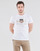 textil Herre T-shirts m. korte ærmer Gant ARCHIVE SHIELD Hvid