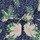 textil Pige Buksedragter / Overalls Roxy IN THE MOUNTAIN Flerfarvet