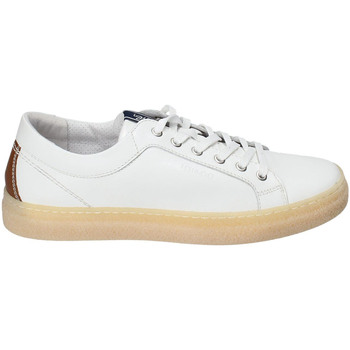 Sko Herre Sneakers IgI&CO 3134500 Hvid