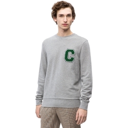 textil Herre Sweatshirts Calvin Klein Jeans K10K102891 Grå