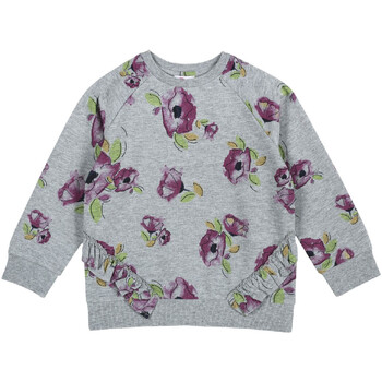 textil Børn Sweatshirts Chicco 09069347000000 Grå