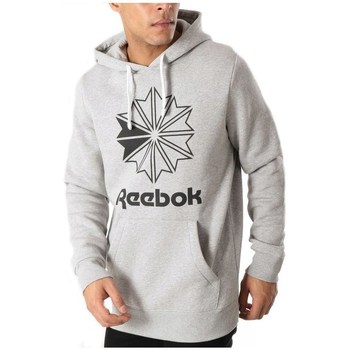 textil Herre Sweatshirts Reebok Sport Big Logo Hoodie Grå