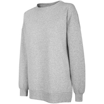 textil Dame Sweatshirts 4F BLD011 Grå