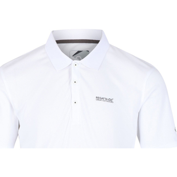 textil Herre Polo-t-shirts m. korte ærmer Regatta  Hvid