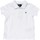 textil Dreng Polo-t-shirts m. korte ærmer Hackett HK560958-8AS Flerfarvet