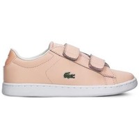 Sko Børn Lave sneakers Lacoste Carnaby Evo Strap Pink
