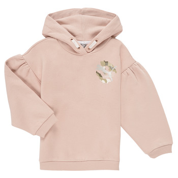 textil Pige Sweatshirts Puma ALPHA HOODIE Pink