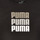 textil Pige T-shirts m. korte ærmer Puma ALPHA TEE Sort