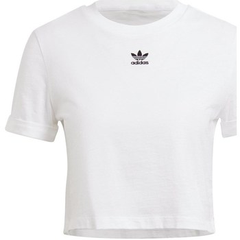textil Dame T-shirts m. korte ærmer adidas Originals Crop Top Hvid