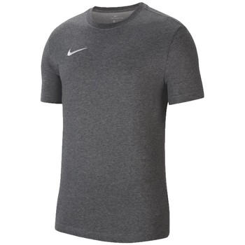 textil Herre T-shirts m. korte ærmer Nike Dri-Fit Park 20 Tee Grå