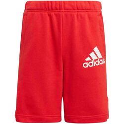 textil Børn Shorts adidas Originals GJ6621 Rød