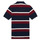 textil Dreng Polo-t-shirts m. korte ærmer Polo Ralph Lauren POLLONO Flerfarvet