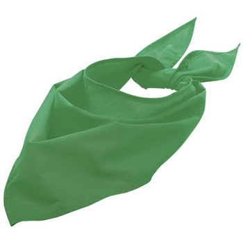 Accessories Halstørklæder Sols BANDANA Verde Pradera Grøn