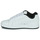 Sko Herre Lave sneakers DC Shoes COURT GRAFFIK Hvid / Sort