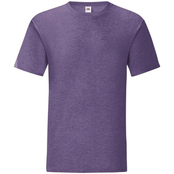 textil Herre Langærmede T-shirts Fruit Of The Loom 61430 Violet