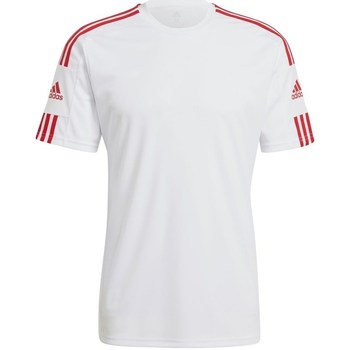 textil Herre T-shirts m. korte ærmer adidas Originals Squadra 21 Hvid