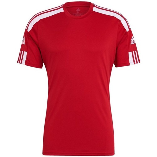 textil Herre T-shirts m. korte ærmer adidas Originals Squadra 21 Rød