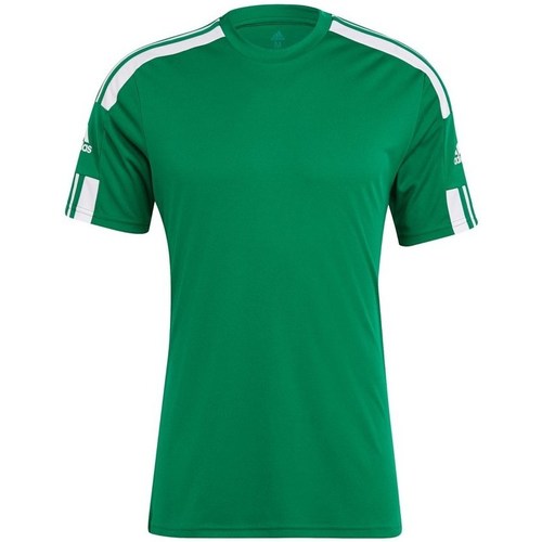 textil Herre T-shirts m. korte ærmer adidas Originals Squadra 21 Grøn