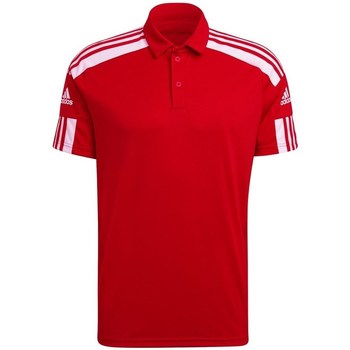 textil Herre T-shirts m. korte ærmer adidas Originals Squadra 21 Polo Rød