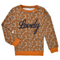textil Pige Sweatshirts Name it NKFKAFRA LS SWEAT Orange