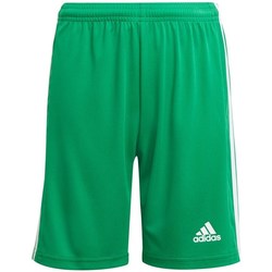 textil Dreng Halvlange bukser adidas Originals JR Squadra 21 Grøn