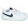 Sko Børn Lave sneakers Nike NIKE PICO 5 (TDV) Hvid / Blå