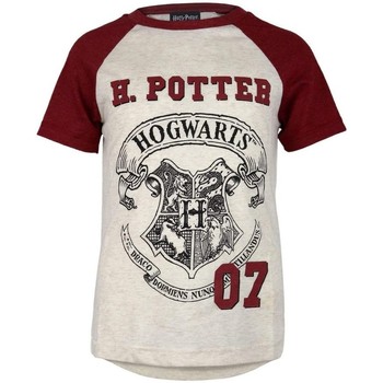 textil Pige Langærmede T-shirts Harry Potter  Flerfarvet