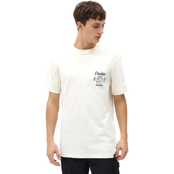 textil Herre T-shirts & poloer Dickies DK0A4X9NECR1 Hvid