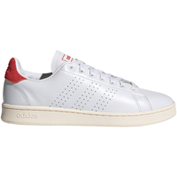 Sko Herre Lave sneakers adidas Originals FY8808 Hvid