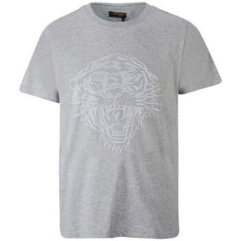 textil Herre T-shirts m. korte ærmer Ed Hardy - Tiger glow t-shirt mid-grey Grå