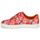 Sko Dame Lave sneakers Cosmo Paris HAJIA Pink / Blomstret
