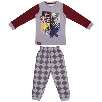 textil Børn Pyjamas / Natskjorte Harry Potter 2200006346 Grå