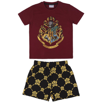 textil Børn Pyjamas / Natskjorte Harry Potter 2200006993 Rojo