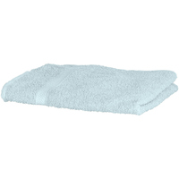 Indretning Håndklæde og badehandske Towel City RW1576 Peppermint