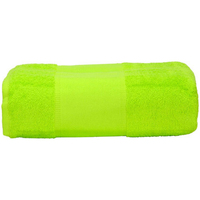Indretning Håndklæde og badehandske A&r Towels RW6039 Grøn