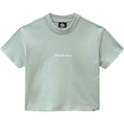 textil Dame T-shirts m. korte ærmer Dickies DK0A4XBAB871 Grøn