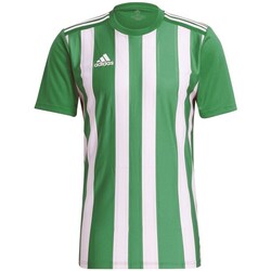 textil Herre T-shirts m. korte ærmer adidas Originals Striped 21 Grøn, Hvid