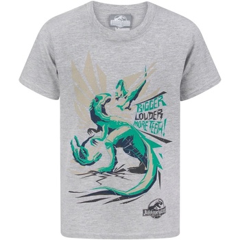 textil Dreng T-shirts m. korte ærmer Jurassic World  Grå