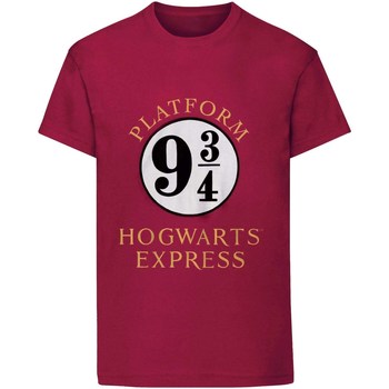 textil Børn T-shirts m. korte ærmer Harry Potter  Flerfarvet