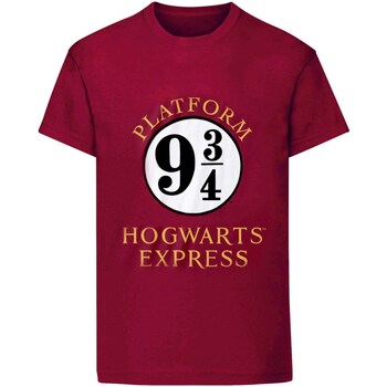 textil Dame Langærmede T-shirts Harry Potter  Violet