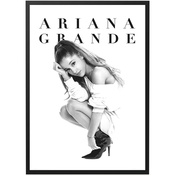 Indretning Skilte og plakater Ariana Grande TA4019 Sort