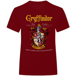 textil T-shirts & poloer Harry Potter  Flerfarvet