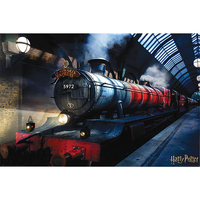Indretning Skilte og plakater Harry Potter TA358 Flerfarvet