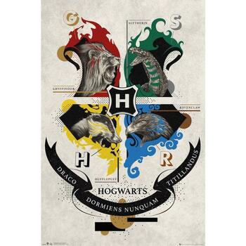 Indretning Skilte og plakater Harry Potter TA7723 Sort