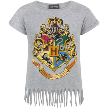 textil Pige Langærmede T-shirts Harry Potter  Grå