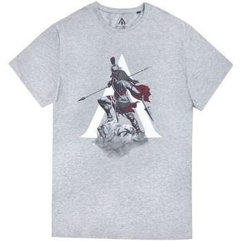 textil Herre Langærmede T-shirts Assassins Creed Odyssey  Grå
