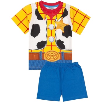 textil Dreng Pyjamas / Natskjorte Toy Story  Flerfarvet