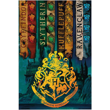 Indretning Skilte og plakater Harry Potter TA359 Flerfarvet