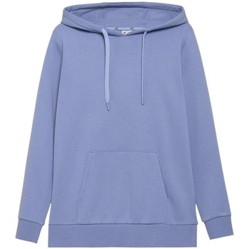 textil Dame Sweatshirts 4F BLD352 Blå